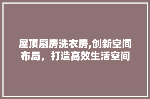 屋顶厨房洗衣房,创新空间布局，打造高效生活空间