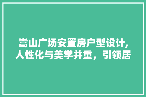 嵩山广场安置房户型设计,人性化与美学并重，引领居住新潮流