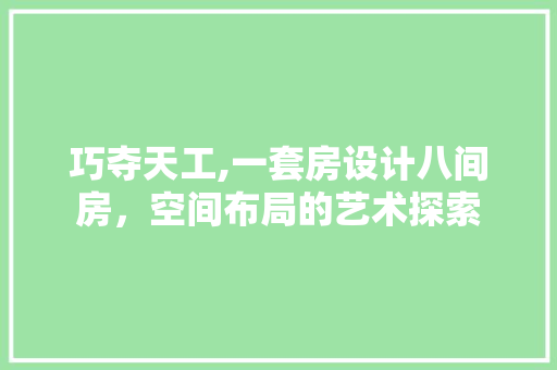 巧夺天工,一套房设计八间房，空间布局的艺术探索