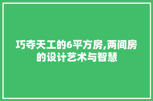 巧夺天工的6平方房,两间房的设计艺术与智慧