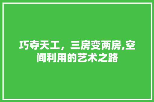 巧夺天工，三房变两房,空间利用的艺术之路