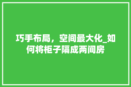 巧手布局，空间最大化_如何将柜子隔成两间房