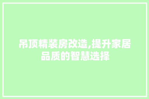 吊顶精装房改造,提升家居品质的智慧选择