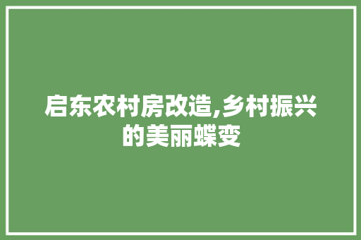 启东农村房改造,乡村振兴的美丽蝶变