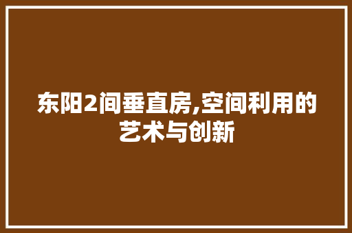 东阳2间垂直房,空间利用的艺术与创新