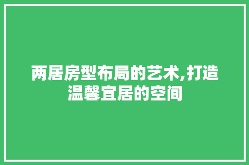 两居房型布局的艺术,打造温馨宜居的空间