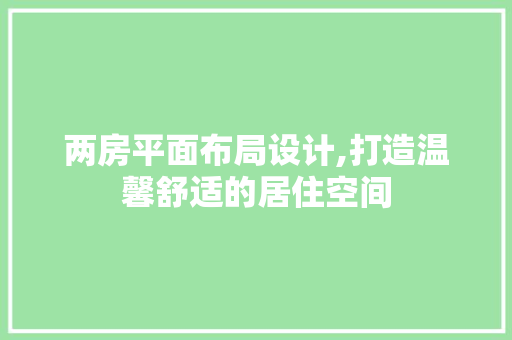 两房平面布局设计,打造温馨舒适的居住空间