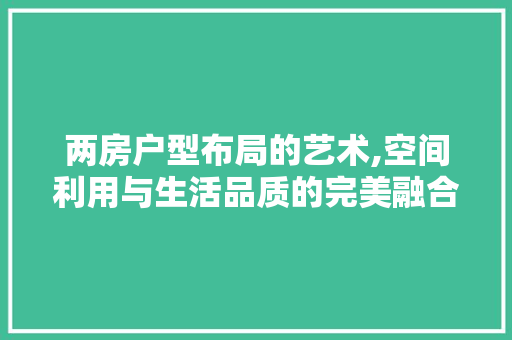 两房户型布局的艺术,空间利用与生活品质的完美融合