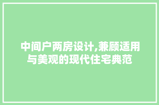 中间户两房设计,兼顾适用与美观的现代住宅典范