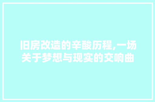 旧房改造的辛酸历程,一场关于梦想与现实的交响曲