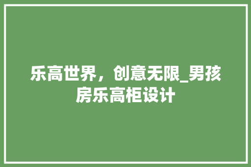 乐高世界，创意无限_男孩房乐高柜设计
