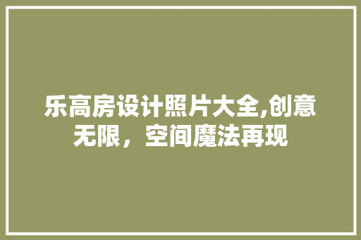 乐高房设计照片大全,创意无限，空间魔法再现