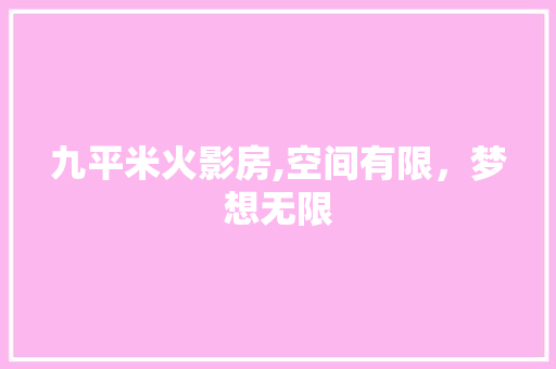 九平米火影房,空间有限，梦想无限