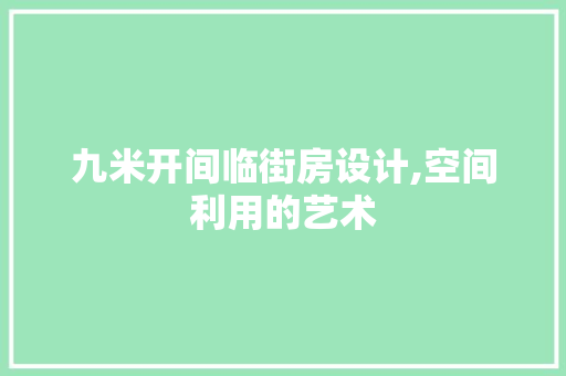 九米开间临街房设计,空间利用的艺术