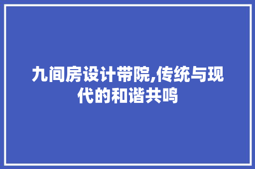 九间房设计带院,传统与现代的和谐共鸣