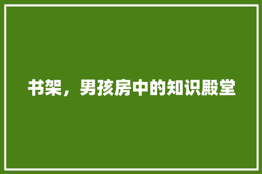书架，男孩房中的知识殿堂