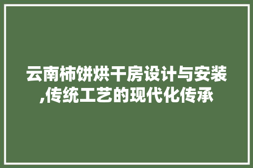 云南柿饼烘干房设计与安装,传统工艺的现代化传承