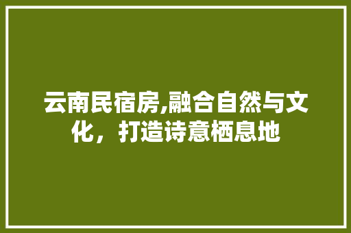 云南民宿房,融合自然与文化，打造诗意栖息地