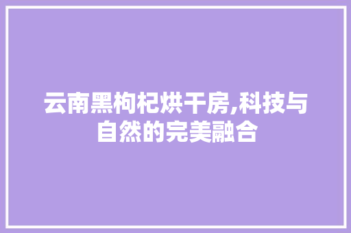 云南黑枸杞烘干房,科技与自然的完美融合