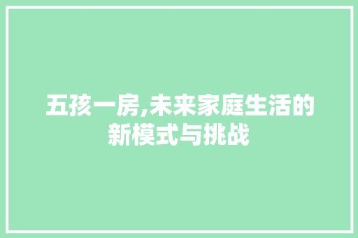 五孩一房,未来家庭生活的新模式与挑战