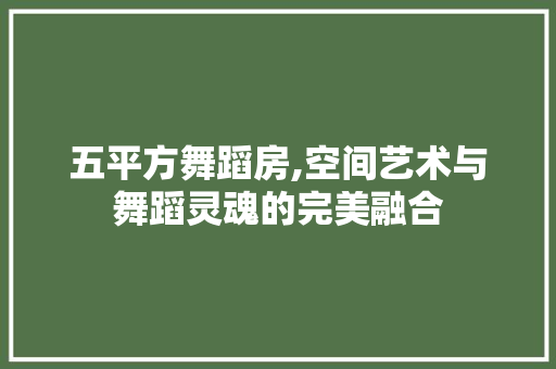 五平方舞蹈房,空间艺术与舞蹈灵魂的完美融合