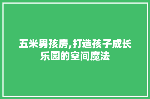 五米男孩房,打造孩子成长乐园的空间魔法