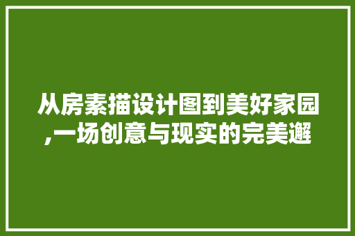 从房素描设计图到美好家园,一场创意与现实的完美邂逅