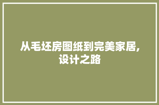从毛坯房图纸到完美家居,设计之路