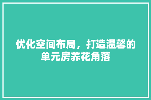 优化空间布局，打造温馨的单元房养花角落