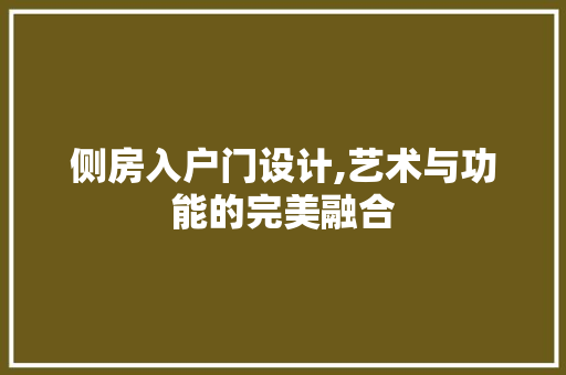 侧房入户门设计,艺术与功能的完美融合