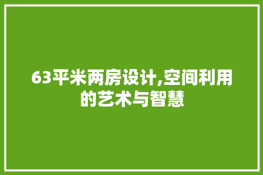 63平米两房设计,空间利用的艺术与智慧