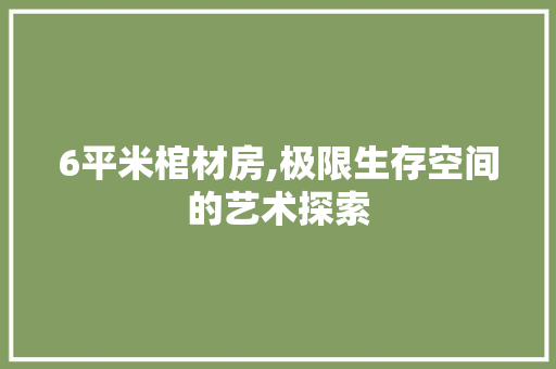 6平米棺材房,极限生存空间的艺术探索