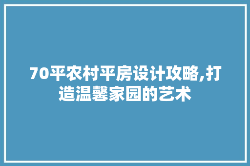 70平农村平房设计攻略,打造温馨家园的艺术