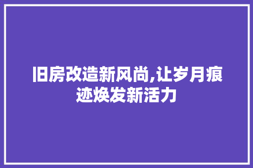 旧房改造新风尚,让岁月痕迹焕发新活力