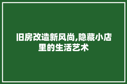 旧房改造新风尚,隐藏小店里的生活艺术