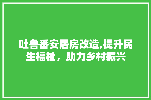吐鲁番安居房改造,提升民生福祉，助力乡村振兴
