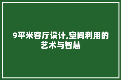 9平米客厅设计,空间利用的艺术与智慧