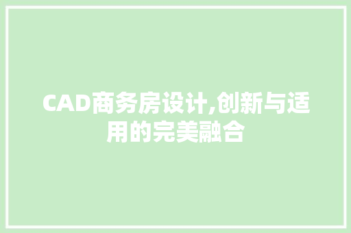 CAD商务房设计,创新与适用的完美融合
