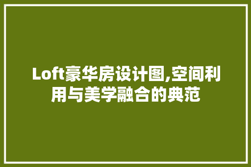 Loft豪华房设计图,空间利用与美学融合的典范