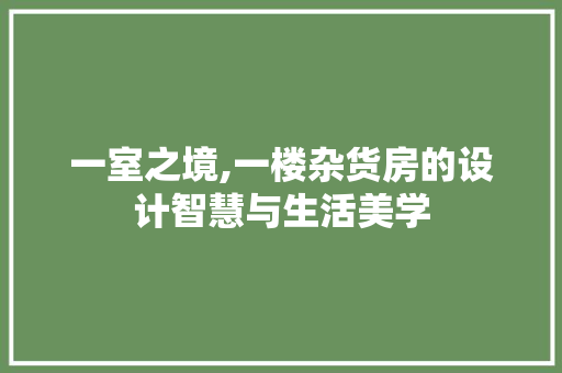 一室之境,一楼杂货房的设计智慧与生活美学