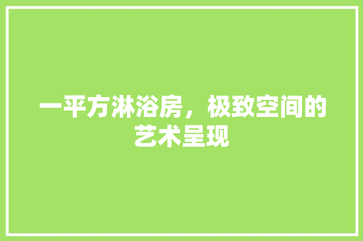一平方淋浴房，极致空间的艺术呈现