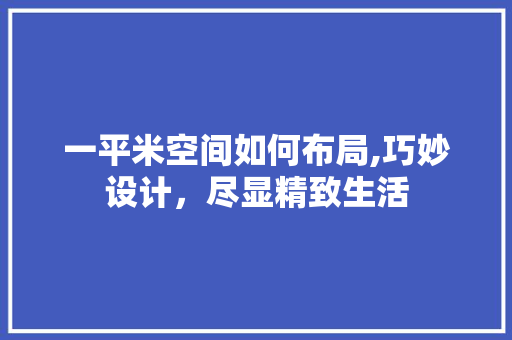 一平米空间如何布局,巧妙设计，尽显精致生活