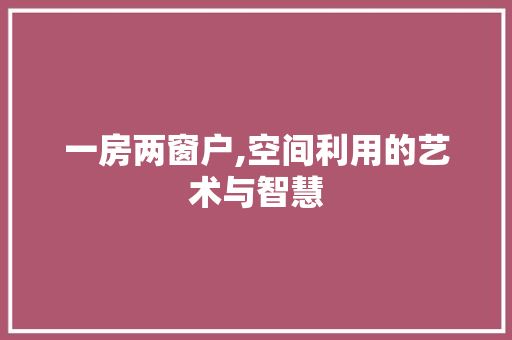 一房两窗户,空间利用的艺术与智慧