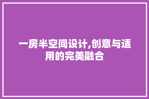 一房半空间设计,创意与适用的完美融合