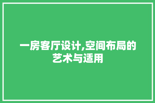 一房客厅设计,空间布局的艺术与适用