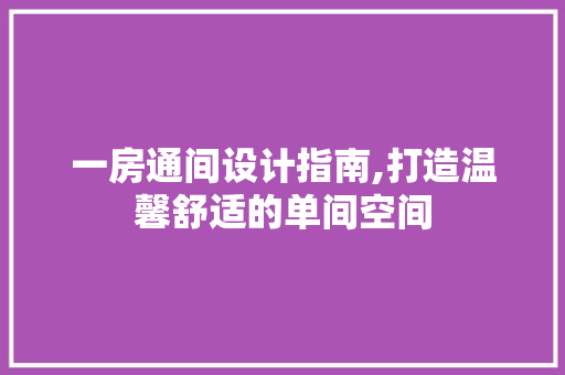 一房通间设计指南,打造温馨舒适的单间空间
