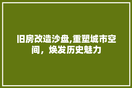 旧房改造沙盘,重塑城市空间，焕发历史魅力