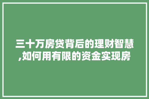 三十万房贷背后的理财智慧,如何用有限的资金实现房产梦
