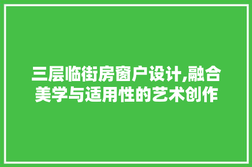 三层临街房窗户设计,融合美学与适用性的艺术创作
