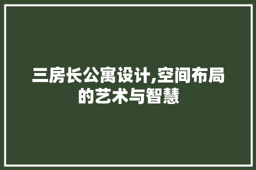 三房长公寓设计,空间布局的艺术与智慧